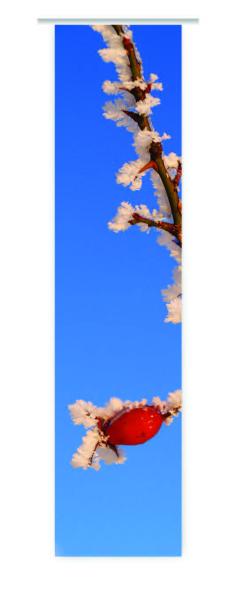Frostrose, Wintervorhang, Schiebegardine mit Wintermotiv
